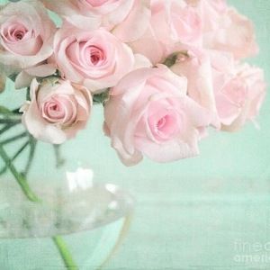 Meet your Posher, Debby